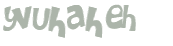 CAPTCHA 挑戰