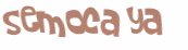 Captcha-udfordring