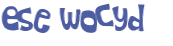 Captcha challenge