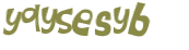 Captcha-Test