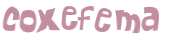Captcha 챌린지