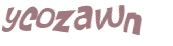 Wyzwanie captcha