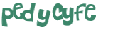 Captcha 챌린지