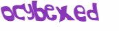 CAPTCHA 挑戰