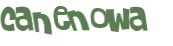 Wyzwanie captcha