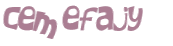 CAPTCHA 挑戰