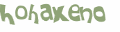Desafio Captcha