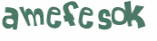 Captcha 챌린지