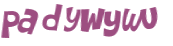 CAPTCHA 挑戰