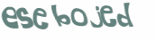 Desafio Captcha