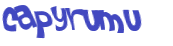 Desafio Captcha
