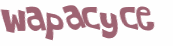 Wyzwanie captcha