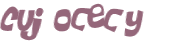 CAPTCHA 挑戰