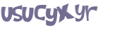 CAPTCHA 挑戰