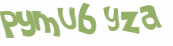 CAPTCHA 挑戰