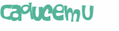Captcha 챌린지