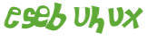 Captcha挑战