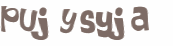 CAPTCHA 挑戰