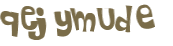 Desafio captcha