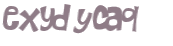 Captcha 챌린지