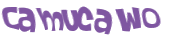 Wyzwanie captcha