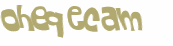 CAPTCHA 挑戰