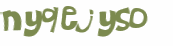 CAPTCHA 挑戰