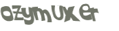 CAPTCHA 挑戰
