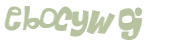 CAPTCHA 挑戰
