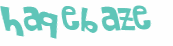 Captcha 챌린지