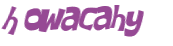 Wyzwanie captcha
