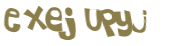 Captcha 챌린지