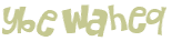 Wyzwanie captcha