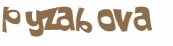 Wyzwanie captcha