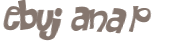 Prueba Captcha