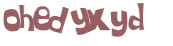 CAPTCHA 挑戰