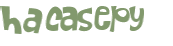 Captcha-Test