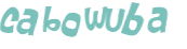 Captcha 챌린지