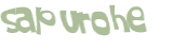 Captchafråga