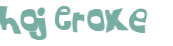 Captcha 챌린지