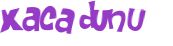 CAPTCHA 挑戰