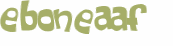 Captcha挑战