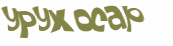 Wyzwanie captcha