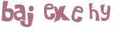 Captcha 챌린지
