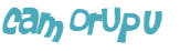 CAPTCHA-haaste