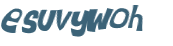 Wyzwanie captcha
