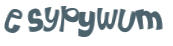 Captcha 챌린지