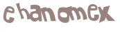Captcha 챌린지
