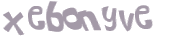 CAPTCHA 挑戰