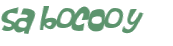 Captcha-Test